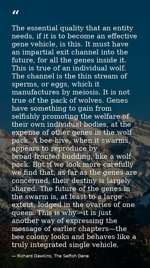 The essential quality that an entity needs, if it is to become an effective gene vehicle, is this. It must have an impar — Richard Dawkins, The Selfish Gene