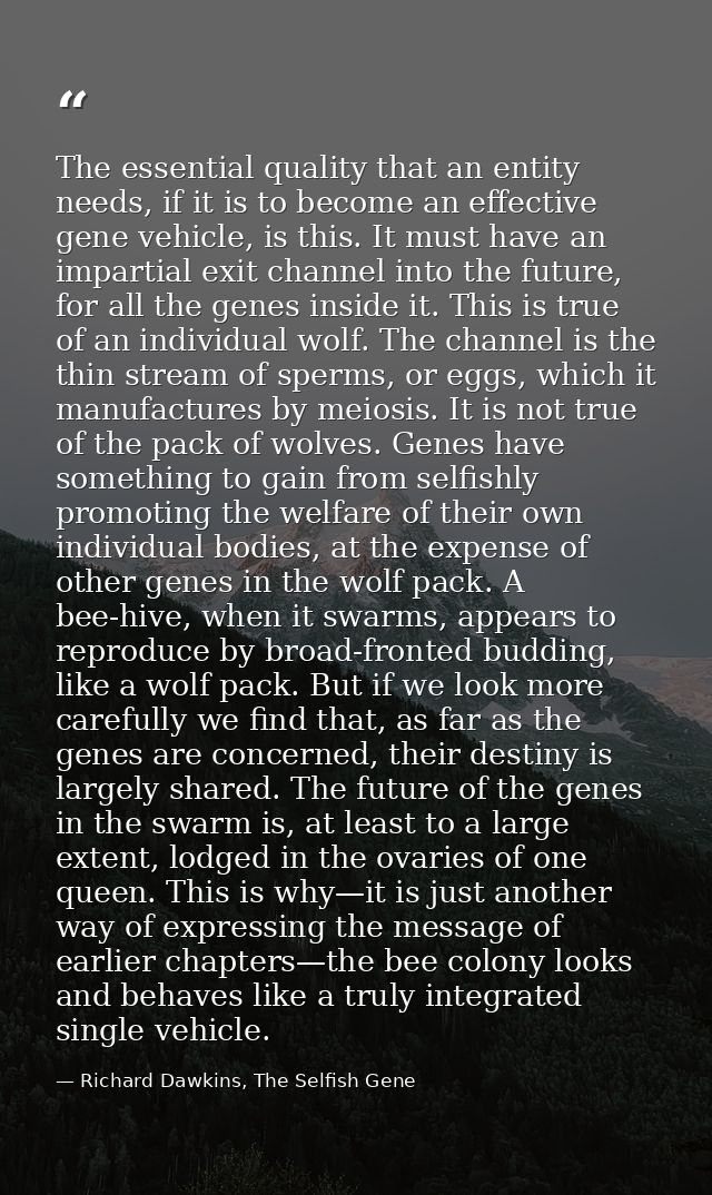 The essential quality that an entity needs, if it is to become an effective gene vehicle, is this. It must have an impar — Richard Dawkins, The Selfish Gene