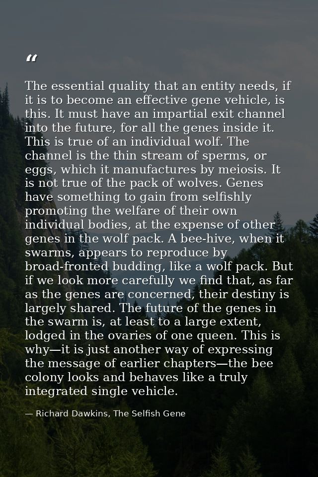 The essential quality that an entity needs, if it is to become an effective gene vehicle, is this. It must have an impar — Richard Dawkins, The Selfish Gene