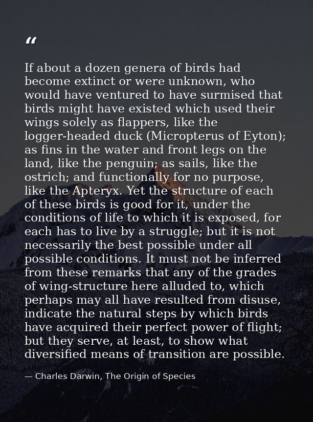 If about a dozen genera of birds had become extinct or were unknown, who would have ventured to have surmised that birds — Charles Darwin, The Origin of Species