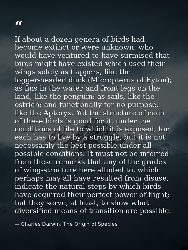 If about a dozen genera of birds had become extinct or were unknown, who would have ventured to have surmised that birds — Charles Darwin, The Origin of Species