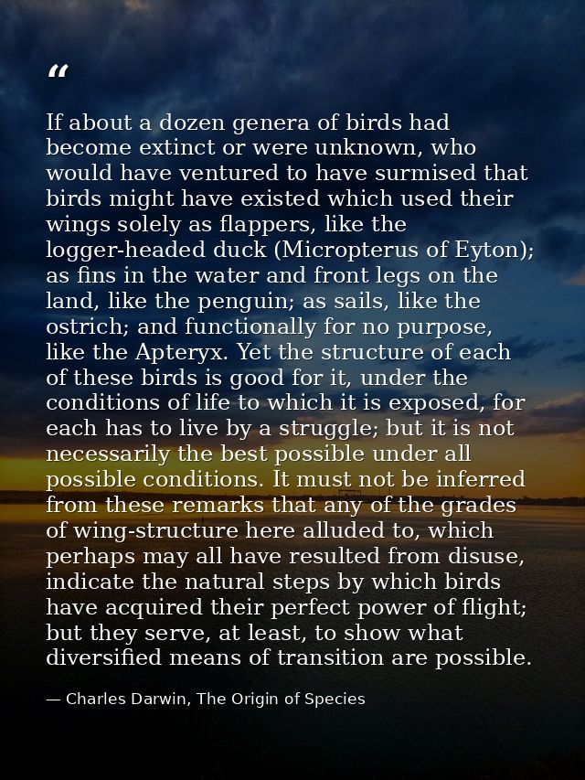 If about a dozen genera of birds had become extinct or were unknown, who would have ventured to have surmised that birds — Charles Darwin, The Origin of Species