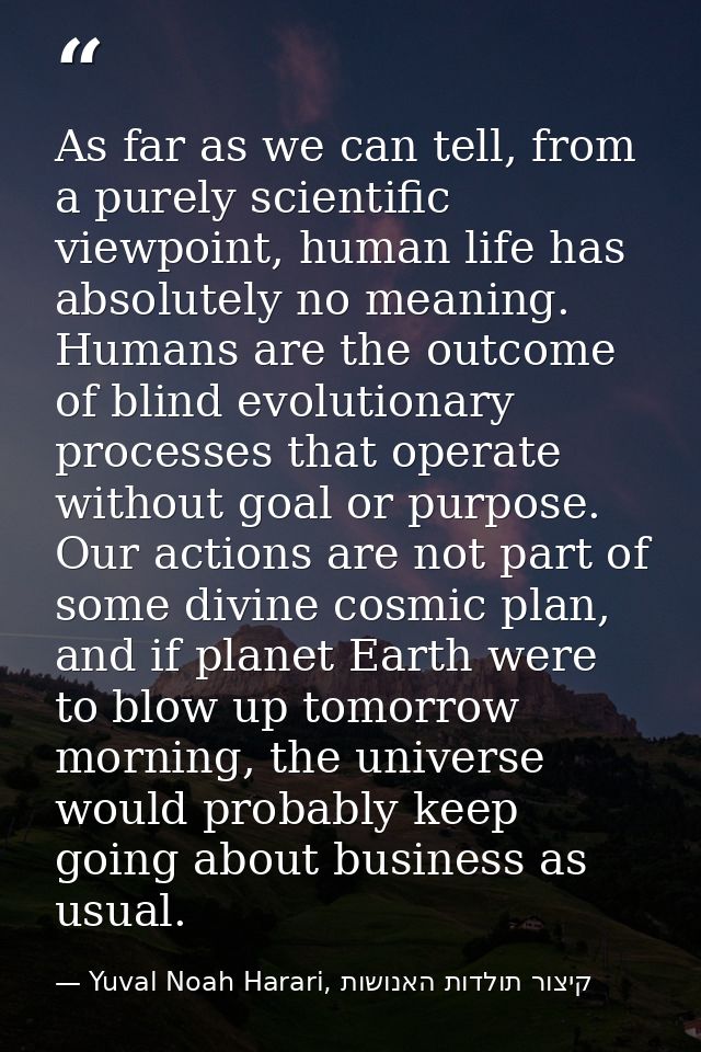 As far as we can tell, from a purely scientific viewpoint, human life has absolutely no meaning. Humans are the outcome  — Yuval Noah Harari, קיצור תולדות האנושות