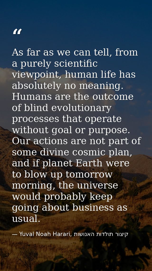 As far as we can tell, from a purely scientific viewpoint, human life has absolutely no meaning. Humans are the outcome  — Yuval Noah Harari, קיצור תולדות האנושות