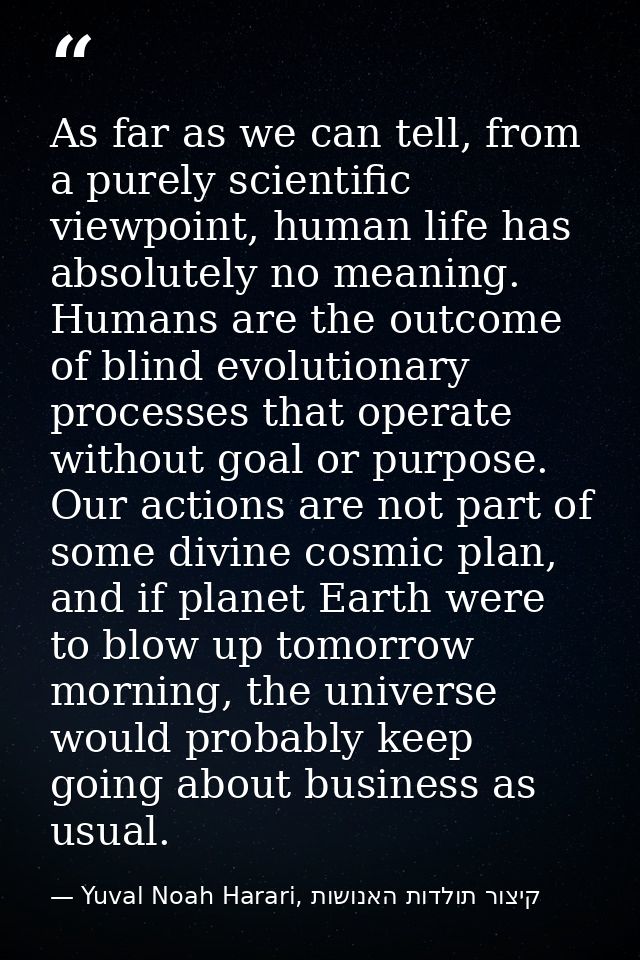 As far as we can tell, from a purely scientific viewpoint, human life has absolutely no meaning. Humans are the outcome  — Yuval Noah Harari, קיצור תולדות האנושות
