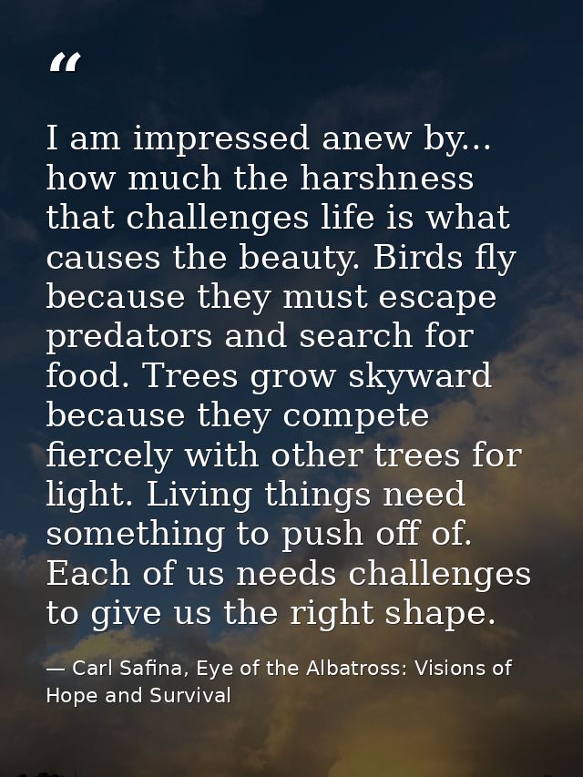 I am impressed anew by... how much the harshness that challenges life is what causes the beauty. Birds fly because they  — Carl Safina, Eye of the Albatross: Visions of Hope and Survival