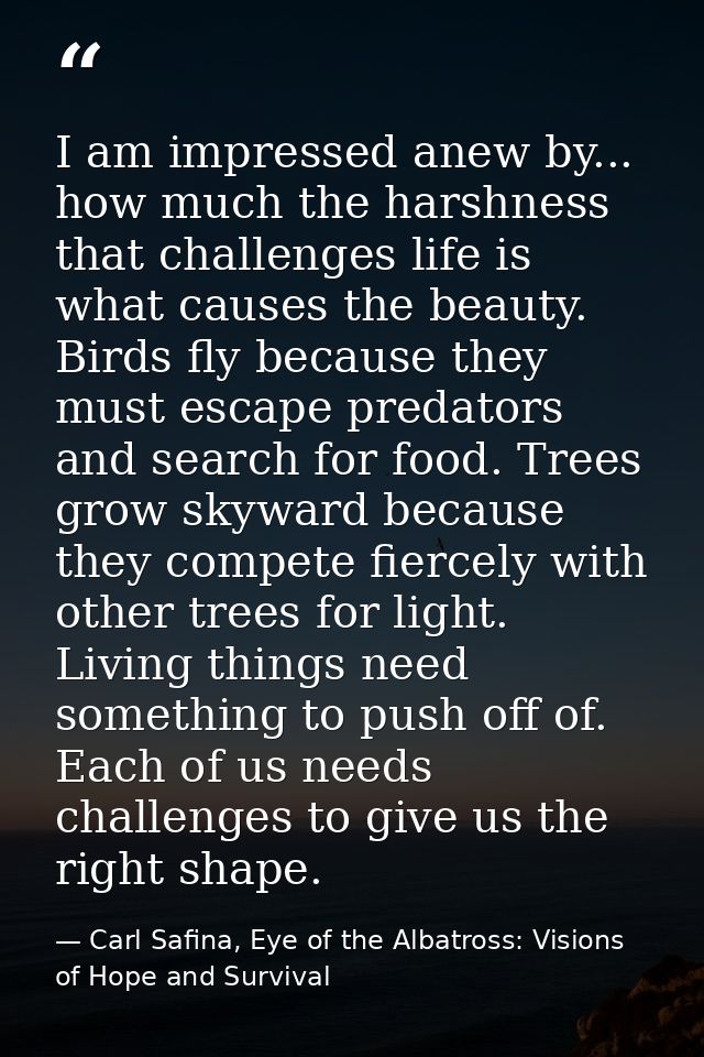 I am impressed anew by... how much the harshness that challenges life is what causes the beauty. Birds fly because they  — Carl Safina, Eye of the Albatross: Visions of Hope and Survival