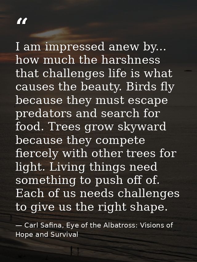 I am impressed anew by... how much the harshness that challenges life is what causes the beauty. Birds fly because they  — Carl Safina, Eye of the Albatross: Visions of Hope and Survival