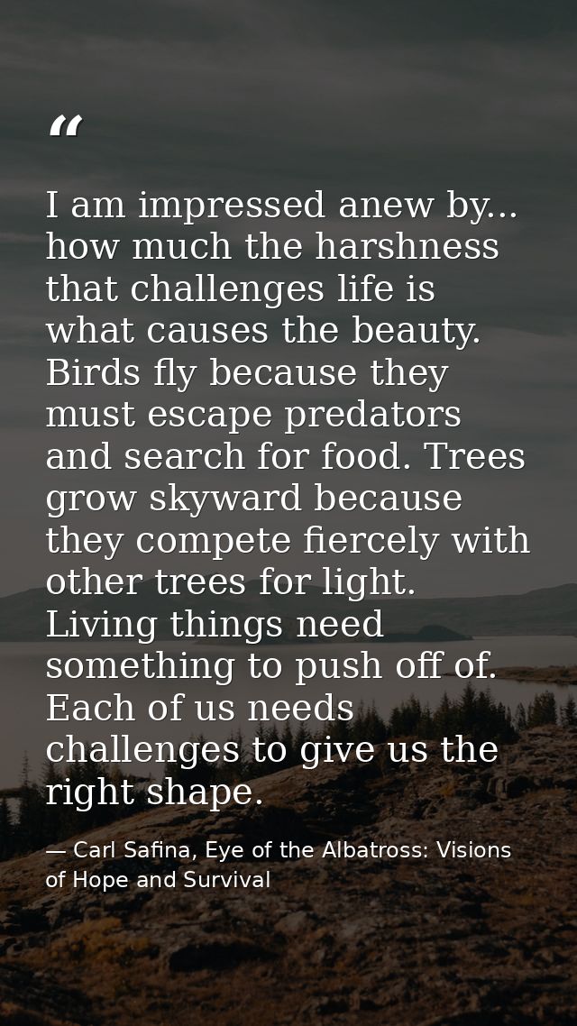 I am impressed anew by... how much the harshness that challenges life is what causes the beauty. Birds fly because they  — Carl Safina, Eye of the Albatross: Visions of Hope and Survival