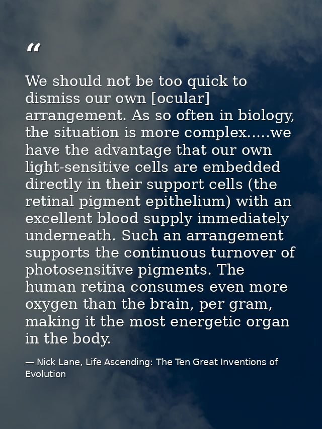 We should not be too quick to dismiss our own [ocular] arrangement. As so often in biology, the situation is more comple — Nick Lane, Life Ascending: The Ten Great Inventions of Evolution