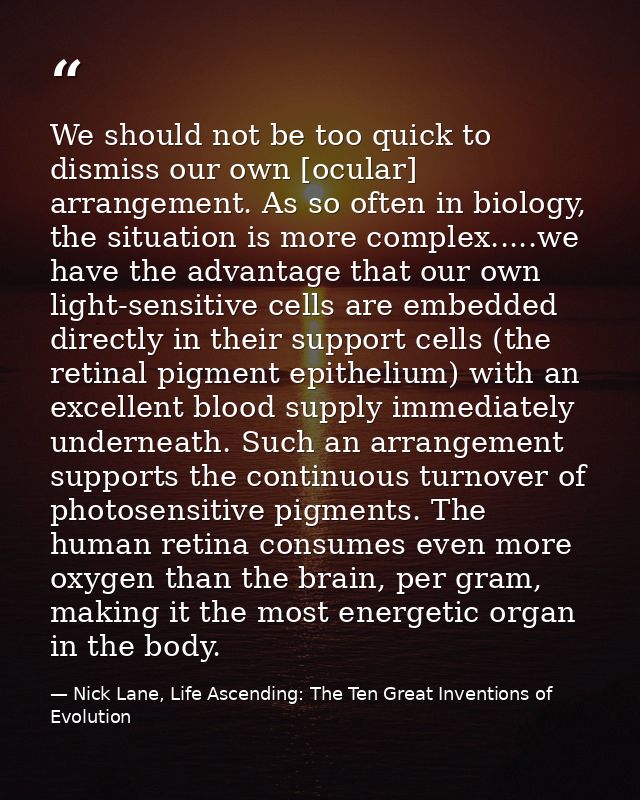 We should not be too quick to dismiss our own [ocular] arrangement. As so often in biology, the situation is more comple — Nick Lane, Life Ascending: The Ten Great Inventions of Evolution