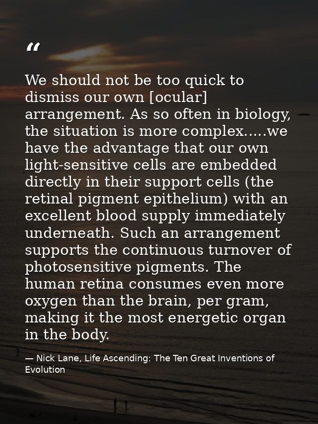 We should not be too quick to dismiss our own [ocular] arrangement. As so often in biology, the situation is more comple — Nick Lane, Life Ascending: The Ten Great Inventions of Evolution