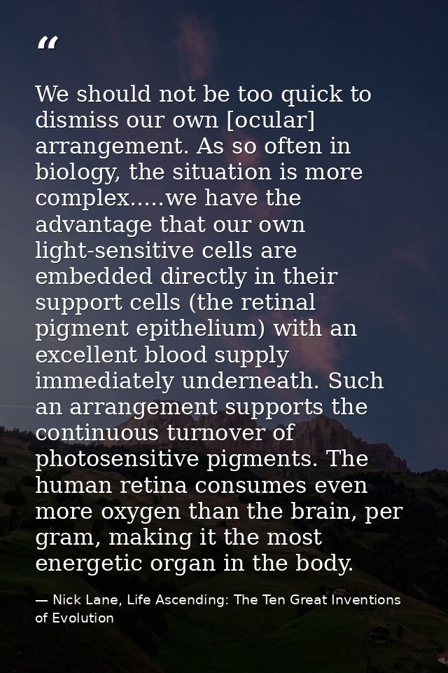 We should not be too quick to dismiss our own [ocular] arrangement. As so often in biology, the situation is more comple — Nick Lane, Life Ascending: The Ten Great Inventions of Evolution