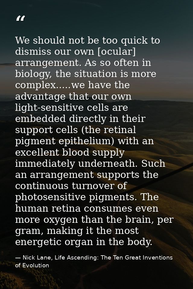 We should not be too quick to dismiss our own [ocular] arrangement. As so often in biology, the situation is more comple — Nick Lane, Life Ascending: The Ten Great Inventions of Evolution