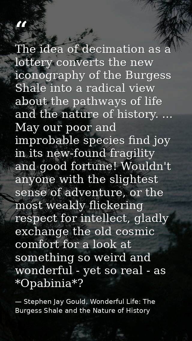 The idea of decimation as a lottery converts the new iconography of the Burgess Shale into a radical view about the path — Stephen Jay Gould, Wonderful Life: The Burgess Shale and the Nature of History