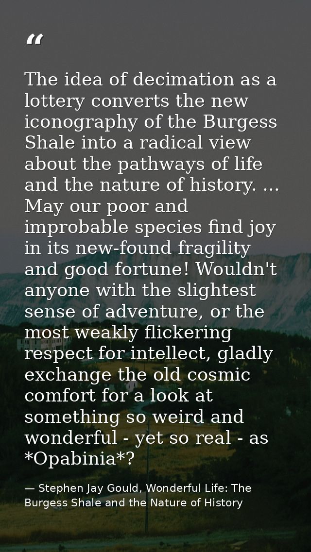 The idea of decimation as a lottery converts the new iconography of the Burgess Shale into a radical view about the path — Stephen Jay Gould, Wonderful Life: The Burgess Shale and the Nature of History