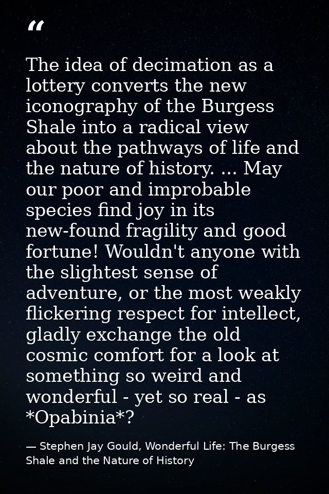 The idea of decimation as a lottery converts the new iconography of the Burgess Shale into a radical view about the path — Stephen Jay Gould, Wonderful Life: The Burgess Shale and the Nature of History