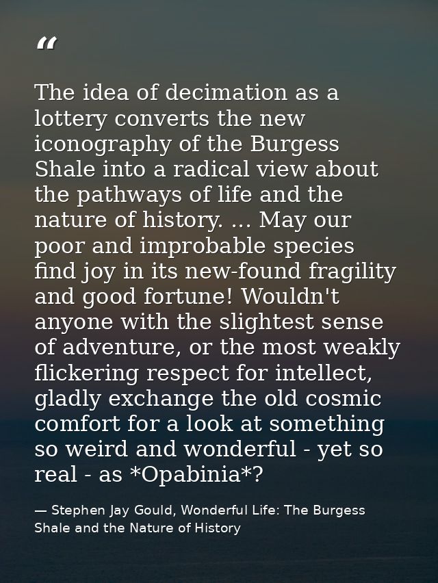 The idea of decimation as a lottery converts the new iconography of the Burgess Shale into a radical view about the path — Stephen Jay Gould, Wonderful Life: The Burgess Shale and the Nature of History
