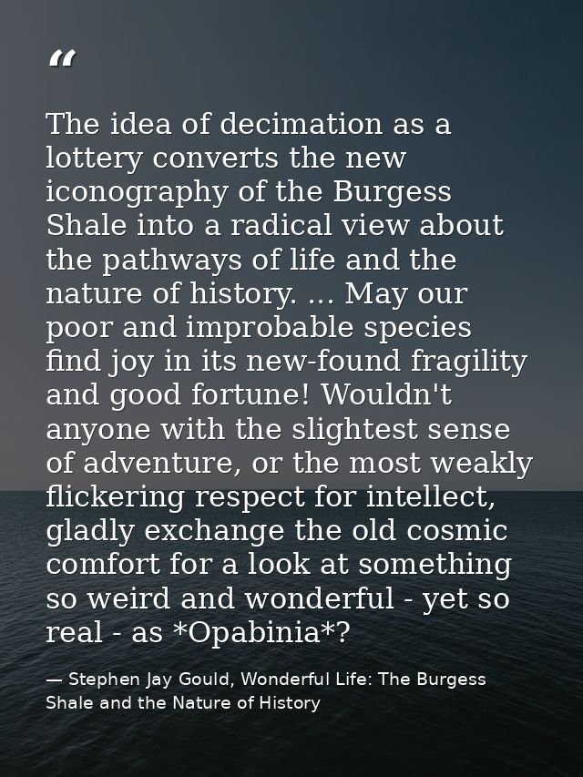 The idea of decimation as a lottery converts the new iconography of the Burgess Shale into a radical view about the path — Stephen Jay Gould, Wonderful Life: The Burgess Shale and the Nature of History