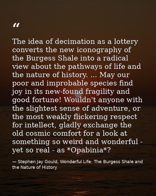 The idea of decimation as a lottery converts the new iconography of the Burgess Shale into a radical view about the path — Stephen Jay Gould, Wonderful Life: The Burgess Shale and the Nature of History