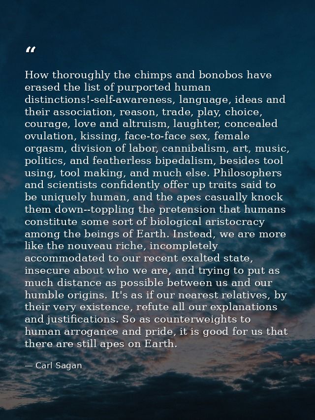 How thoroughly the chimps and bonobos have erased the list of purported human distinctions!-self-awareness, language, id — Carl Sagan