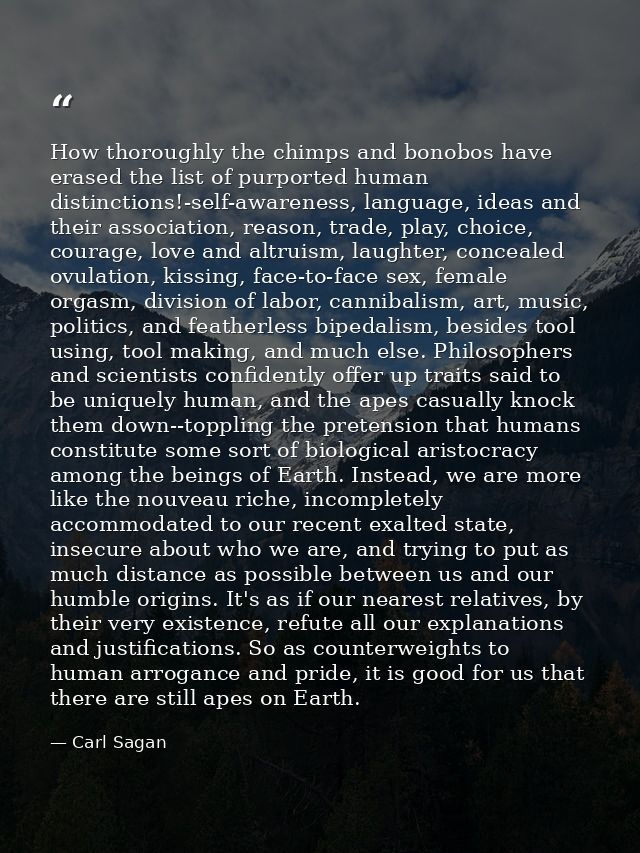How thoroughly the chimps and bonobos have erased the list of purported human distinctions!-self-awareness, language, id — Carl Sagan
