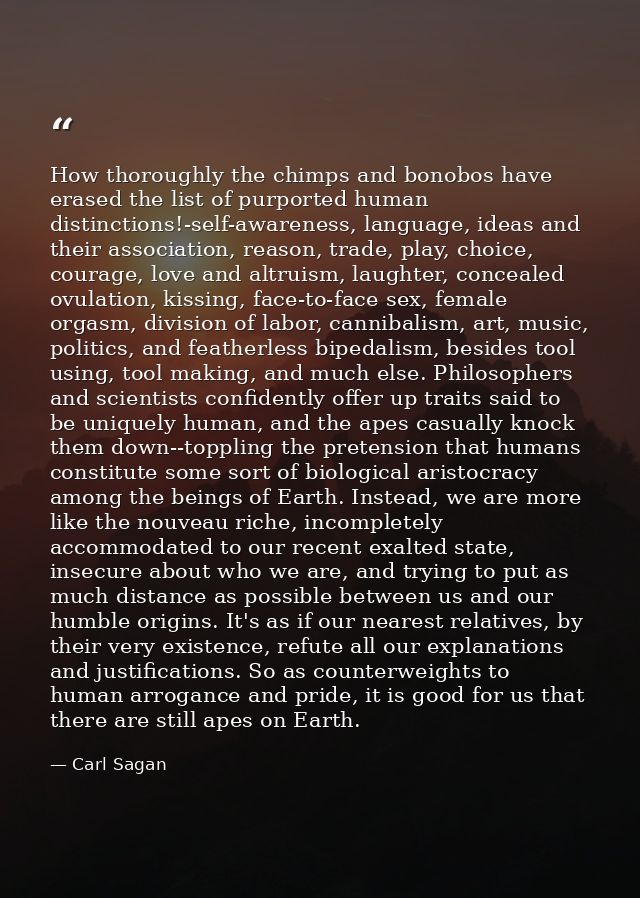 How thoroughly the chimps and bonobos have erased the list of purported human distinctions!-self-awareness, language, id — Carl Sagan