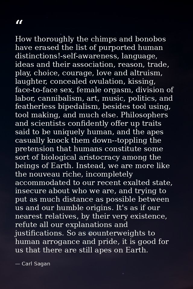 How thoroughly the chimps and bonobos have erased the list of purported human distinctions!-self-awareness, language, id — Carl Sagan