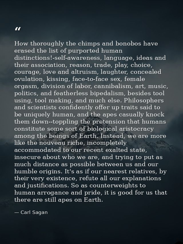 How thoroughly the chimps and bonobos have erased the list of purported human distinctions!-self-awareness, language, id — Carl Sagan