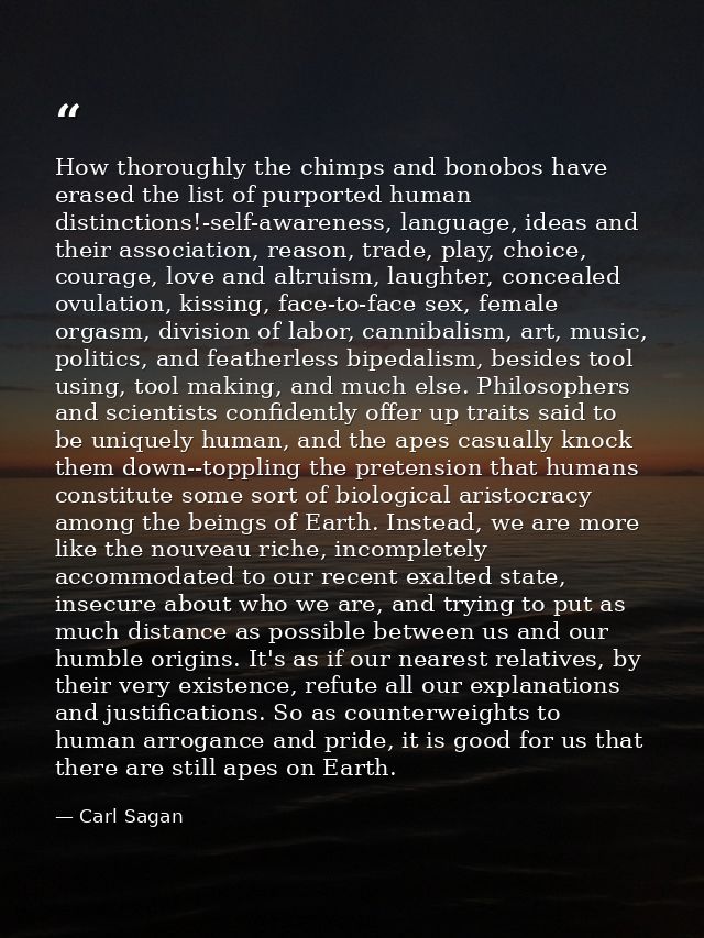 How thoroughly the chimps and bonobos have erased the list of purported human distinctions!-self-awareness, language, id — Carl Sagan