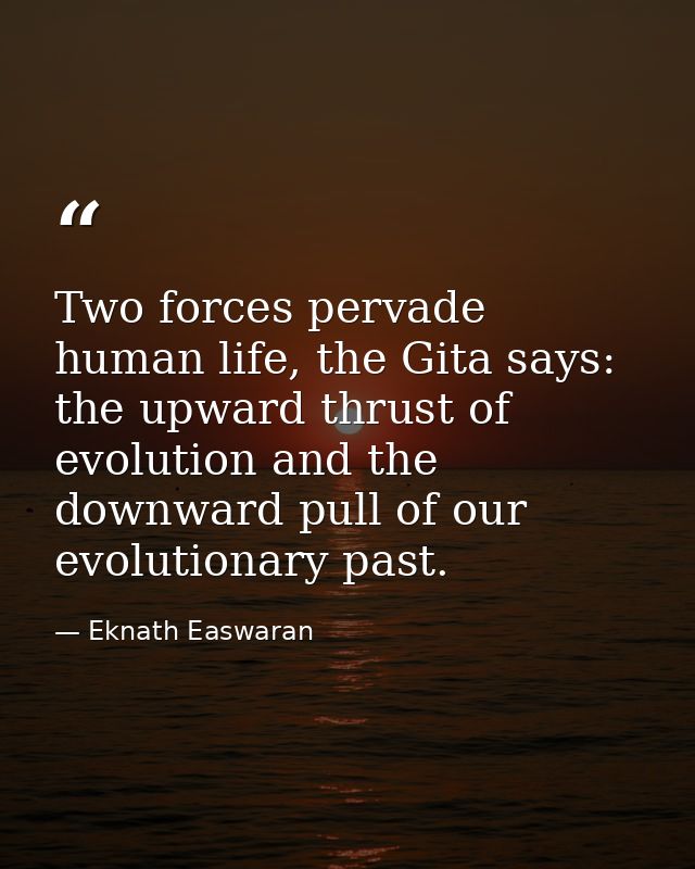 Two forces pervade human life, the Gita says: the upward thrust of evolution and the downward pull of our evolutionary p — Eknath Easwaran