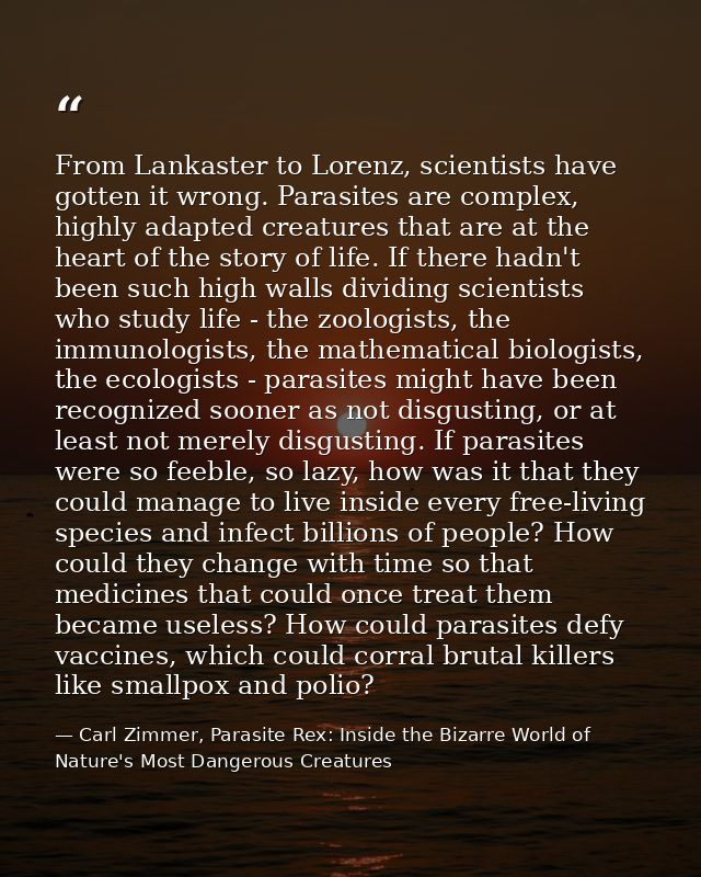 From Lankaster to Lorenz, scientists have gotten it wrong. Parasites are complex, highly adapted creatures that are at t — Carl Zimmer, Parasite Rex: Inside the Bizarre World of Nature's Most Dangerous Creatures
