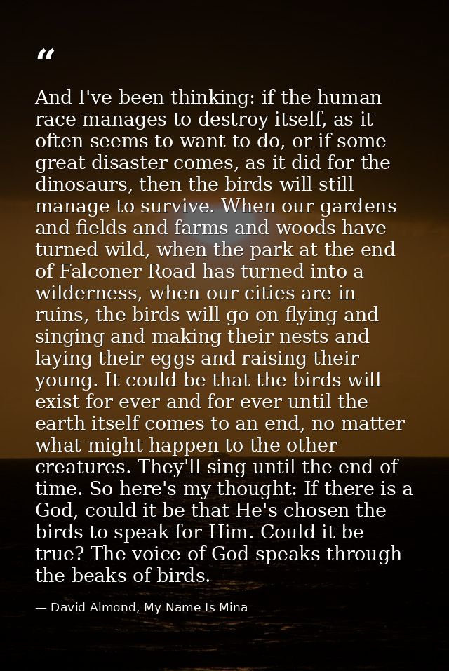And I've been thinking: if the human race manages to destroy itself, as it often seems to want to do, or if some great d — David Almond, My Name Is Mina