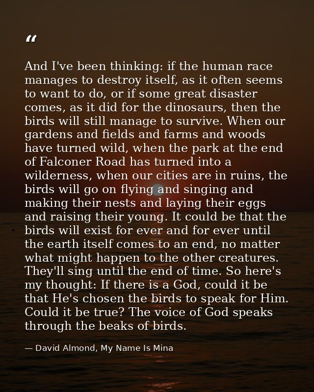 And I've been thinking: if the human race manages to destroy itself, as it often seems to want to do, or if some great d — David Almond, My Name Is Mina