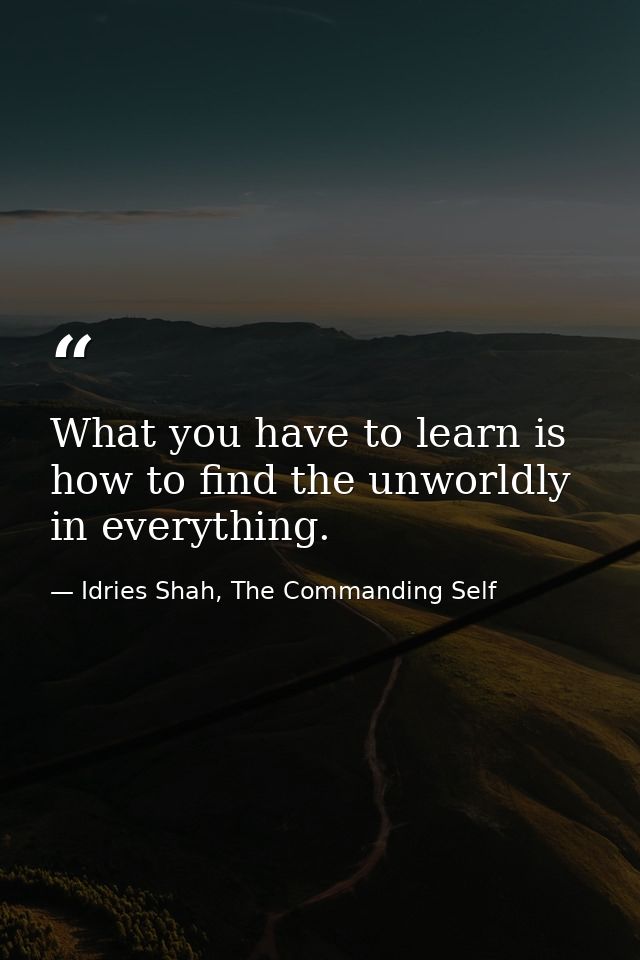 What you have to learn is how to find the unworldly in everything. — Idries Shah, The Commanding Self