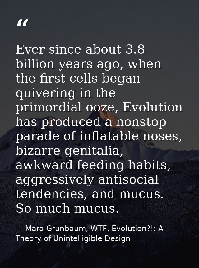 Ever since about 3.8 billion years ago, when the first cells began quivering in the primordial ooze, Evolution has produ — Mara Grunbaum, WTF, Evolution?!: A Theory of Unintelligible Design