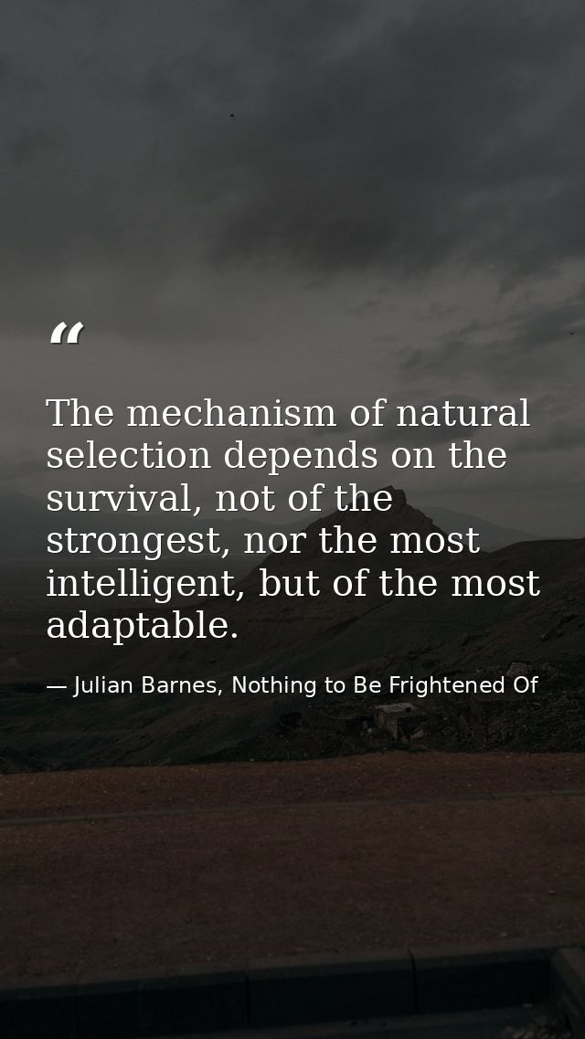The mechanism of natural selection depends on the survival, not of the strongest, nor the most intelligent, but of the m — Julian Barnes, Nothing to Be Frightened Of