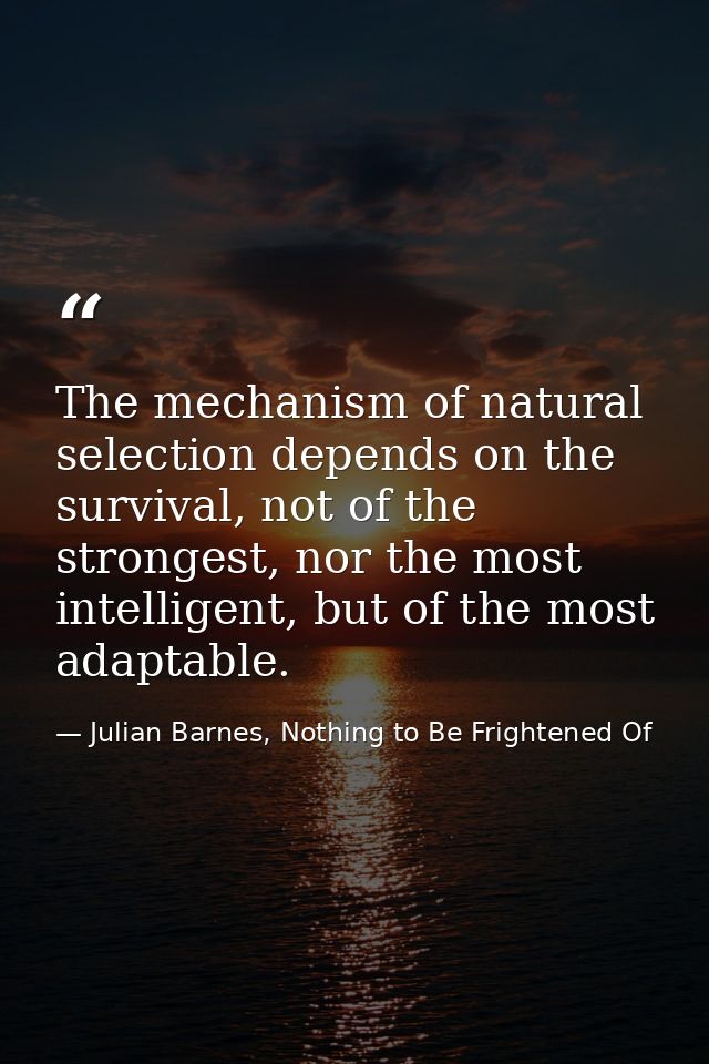 The mechanism of natural selection depends on the survival, not of the strongest, nor the most intelligent, but of the m — Julian Barnes, Nothing to Be Frightened Of