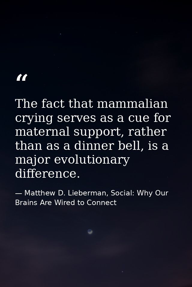 The fact that mammalian crying serves as a cue for maternal support, rather than as a dinner bell, is a major evolutiona — Matthew D. Lieberman, Social: Why Our Brains Are Wired to Connect