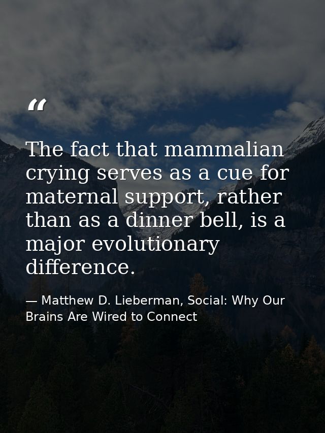 The fact that mammalian crying serves as a cue for maternal support, rather than as a dinner bell, is a major evolutiona — Matthew D. Lieberman, Social: Why Our Brains Are Wired to Connect