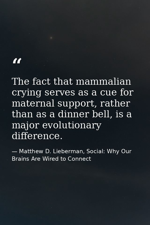 The fact that mammalian crying serves as a cue for maternal support, rather than as a dinner bell, is a major evolutiona — Matthew D. Lieberman, Social: Why Our Brains Are Wired to Connect