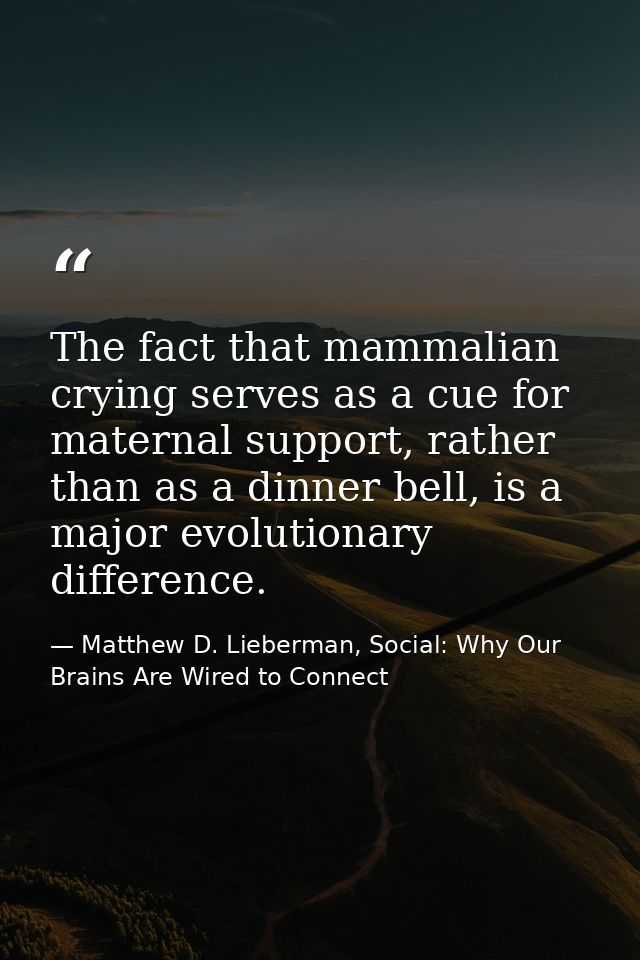 The fact that mammalian crying serves as a cue for maternal support, rather than as a dinner bell, is a major evolutiona — Matthew D. Lieberman, Social: Why Our Brains Are Wired to Connect