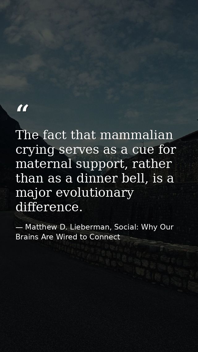 The fact that mammalian crying serves as a cue for maternal support, rather than as a dinner bell, is a major evolutiona — Matthew D. Lieberman, Social: Why Our Brains Are Wired to Connect