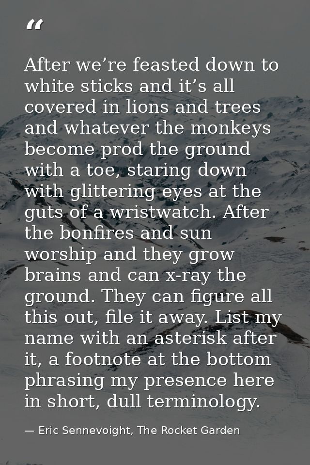 After we’re feasted down to white sticks and it’s all covered in lions and trees and whatever the monkeys become prod th — Eric Sennevoight, The Rocket Garden