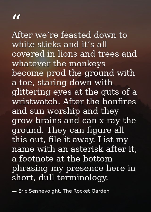 After we’re feasted down to white sticks and it’s all covered in lions and trees and whatever the monkeys become prod th — Eric Sennevoight, The Rocket Garden