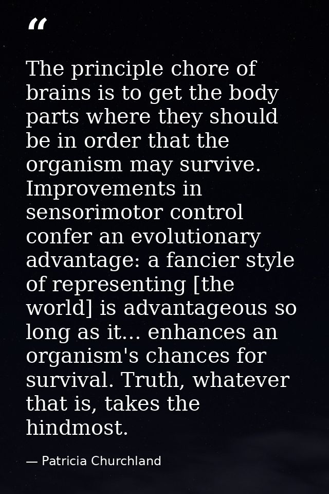 The principle chore of brains is to get the body parts where they should be in order that the organism may survive. Impr — Patricia Churchland