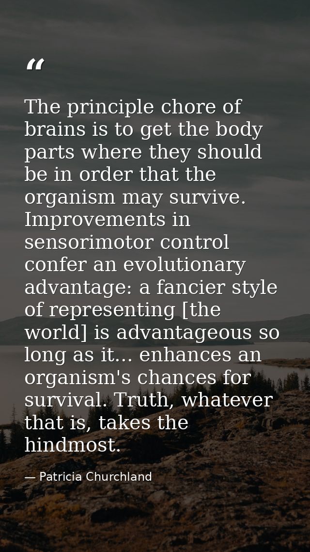 The principle chore of brains is to get the body parts where they should be in order that the organism may survive. Impr — Patricia Churchland