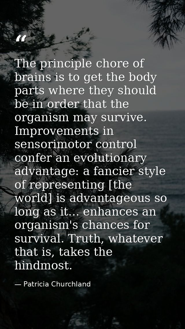 The principle chore of brains is to get the body parts where they should be in order that the organism may survive. Impr — Patricia Churchland