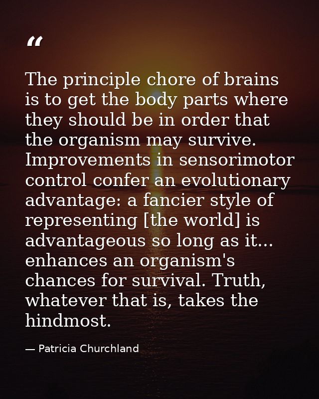 The principle chore of brains is to get the body parts where they should be in order that the organism may survive. Impr — Patricia Churchland
