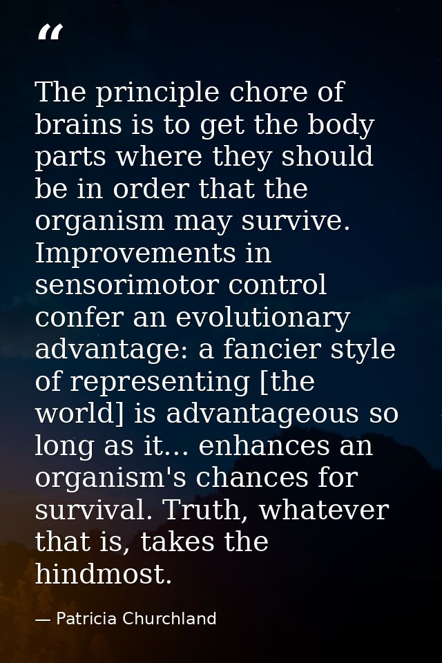 The principle chore of brains is to get the body parts where they should be in order that the organism may survive. Impr — Patricia Churchland